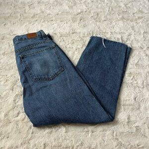 BDG Urban Outfitters Women's Size 28 Blue Slim Straight Cropped Jeans
